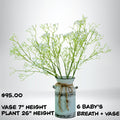 Baby's Breath Decorative Plant