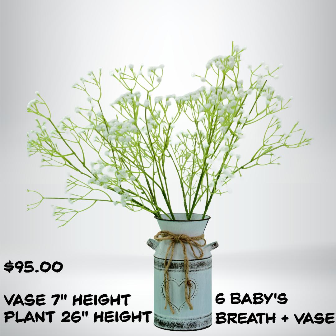 Baby's Breath Decorative Plant