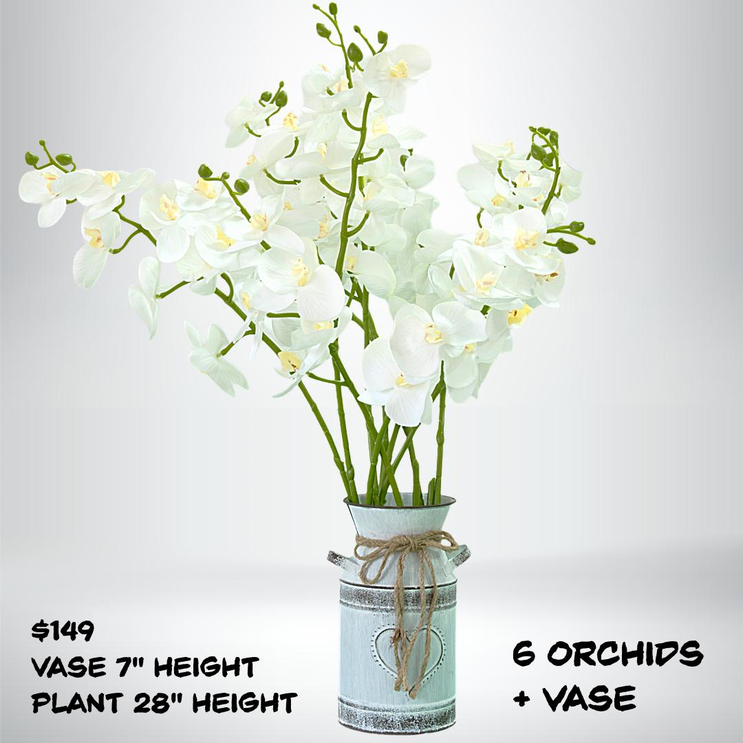 Orchids Decorative Plant
